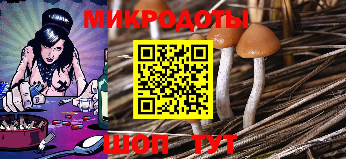 Псилоцибиновые грибы ЛСД  Вход с VPN  Псилоцибиновые грибы мицелий  Киселёвск 