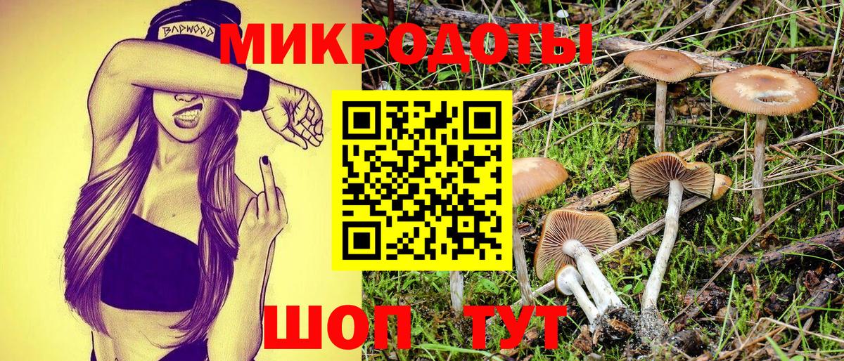 Галлюциногенные грибы ЛСД Киселёвск